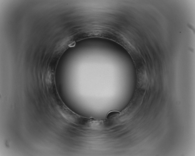 X0000099230126200804241500