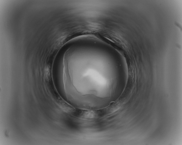 X0000099230127200804241500