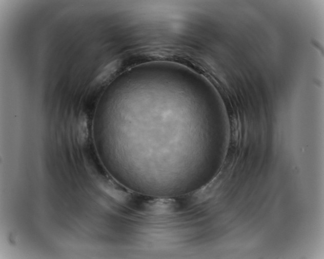 X0000099230128200804241500