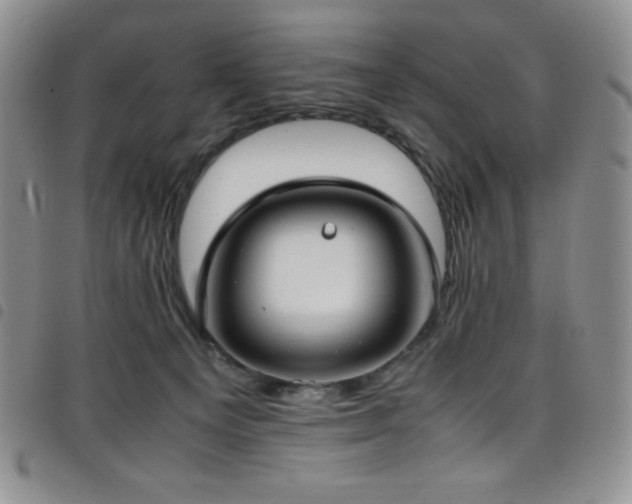 X0000099230129200804241500