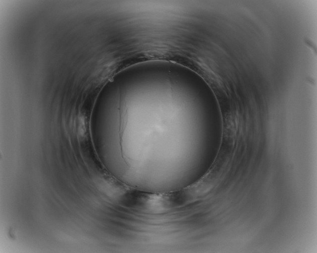 X0000099230130200804241500