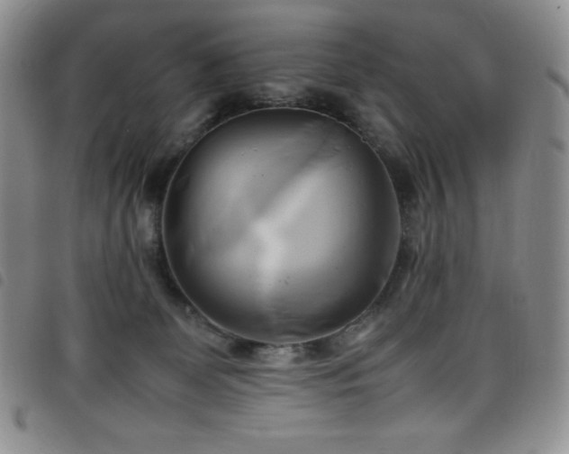 X0000099230131200804241500