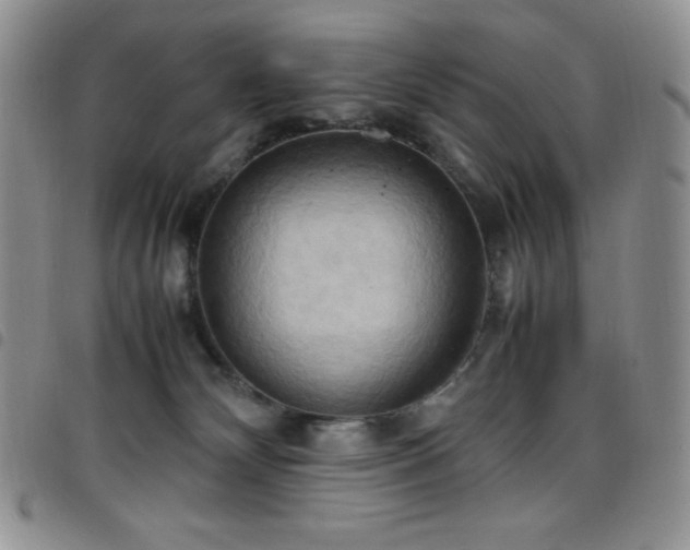 X0000099230132200804241500