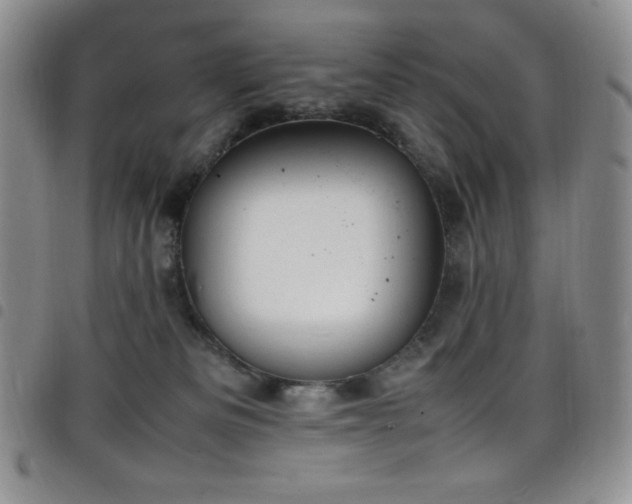 X0000099230133200804241500