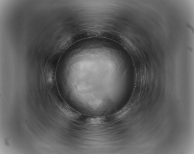 X0000099230134200804241500