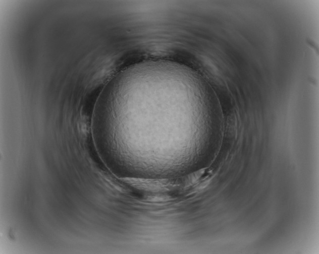 X0000099230135200804241500