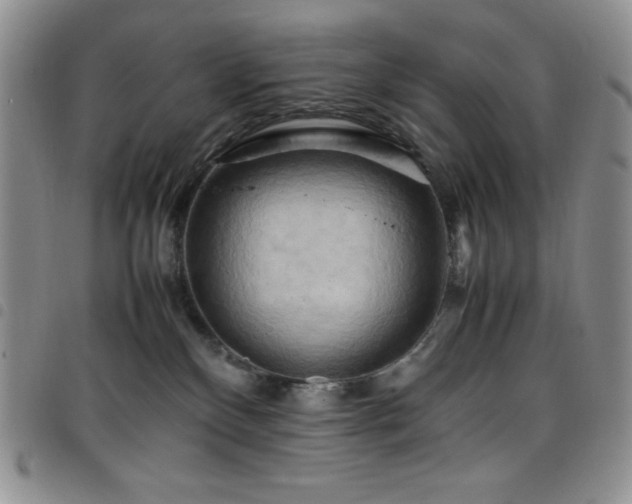 X0000099230136200804241500