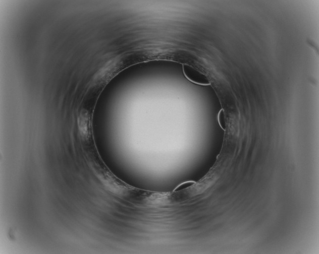 X0000099230138200804241500