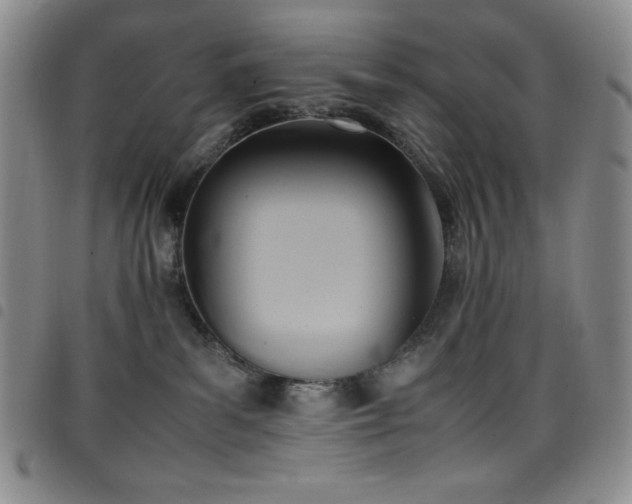 X0000099230139200804241500