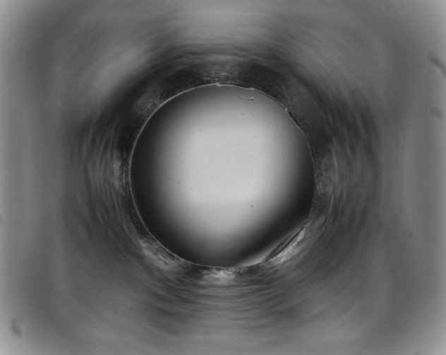 X0000099230140200804241500