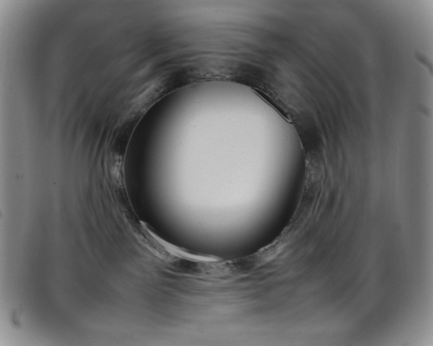 X0000099230141200804241500