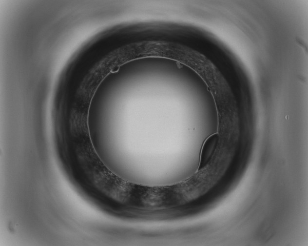 X0000099230142200804241500