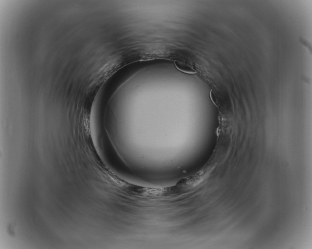 X0000099230143200804241500