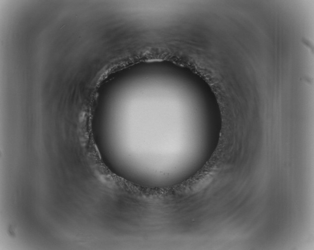 X0000099230144200804241500