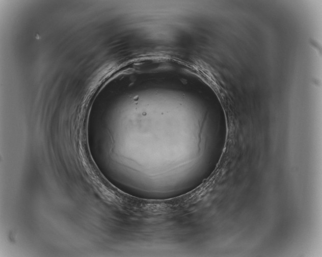 X0000099230145200804241459