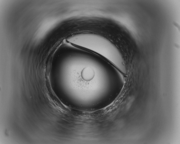 X0000099230146200804241459