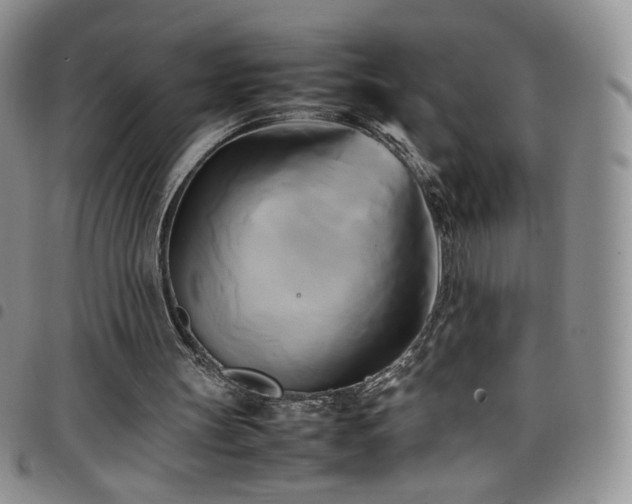 X0000099230147200804241459