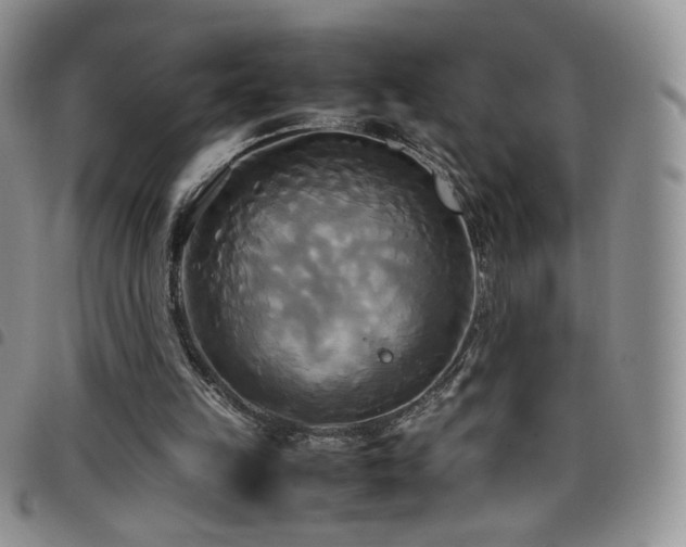 X0000099230149200804241500