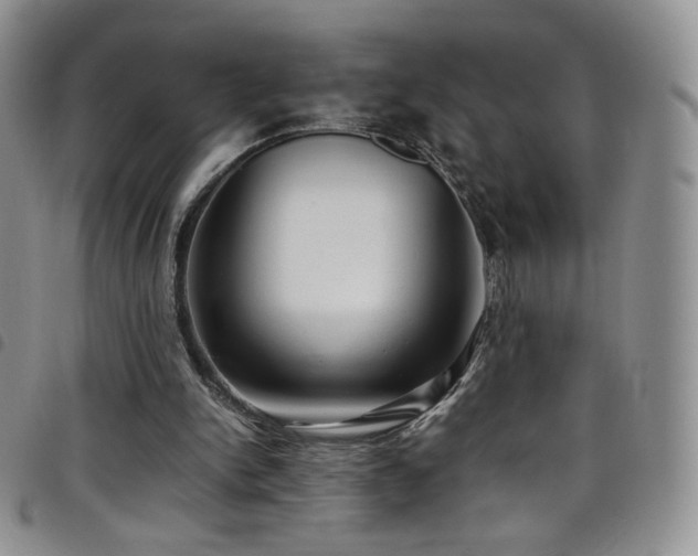 X0000099230150200804241500