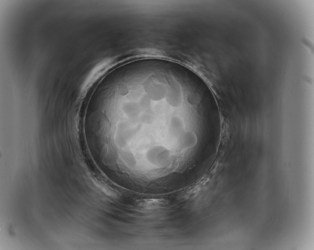 X0000099230151200804241500