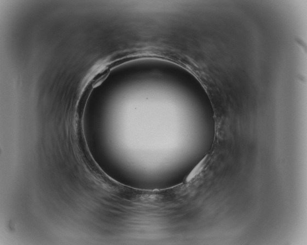 X0000099230152200804241500