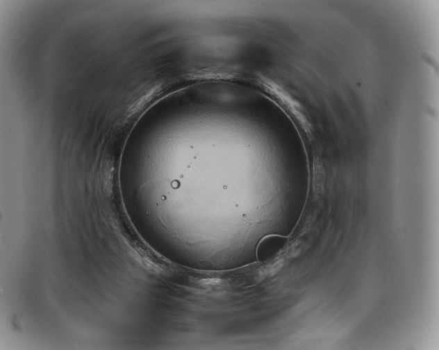 X0000099230153200804241500