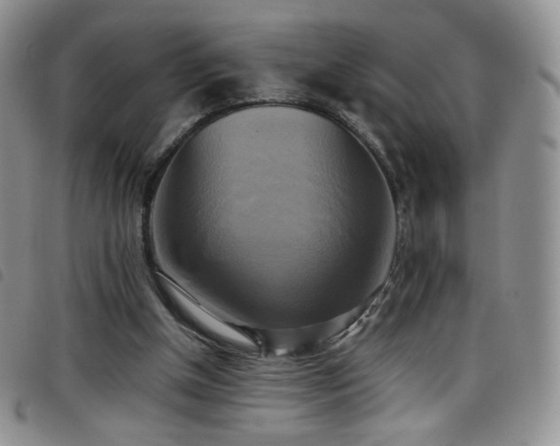 X0000099230154200804241500