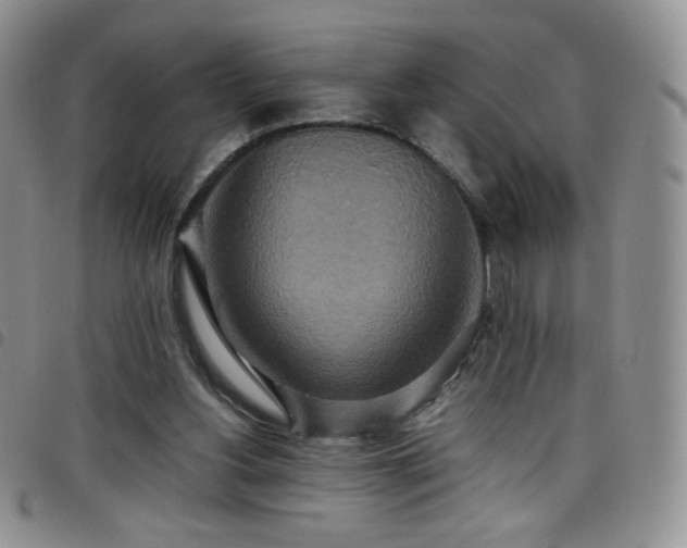 X0000099230156200804241500