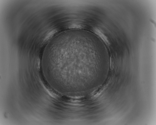 X0000099230157200804241500