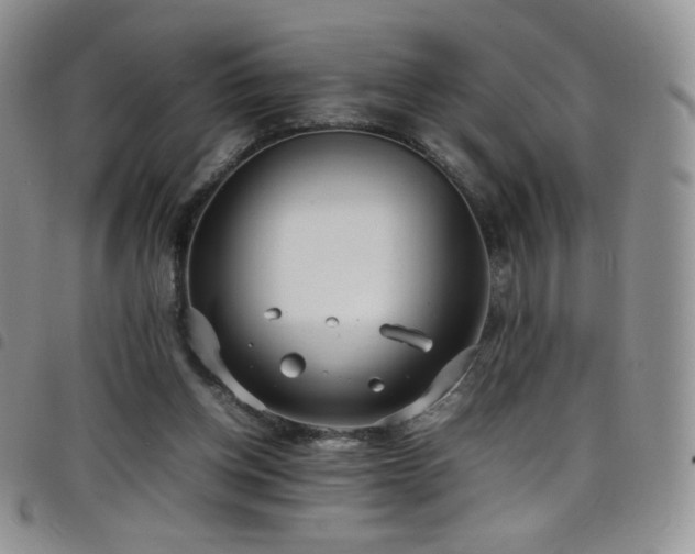 X0000099230158200804241500