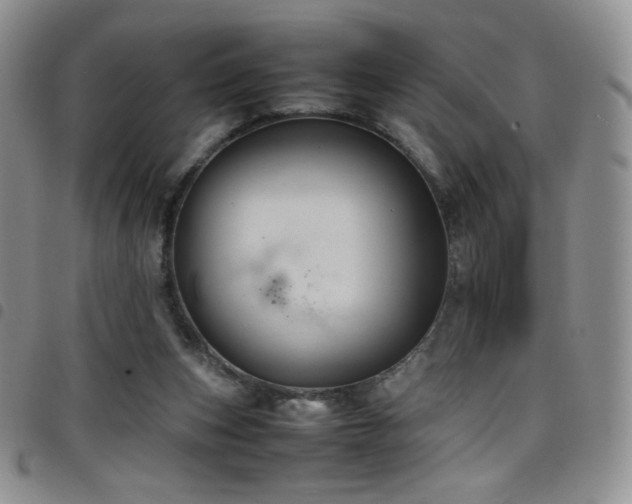 X0000099230159200804241500