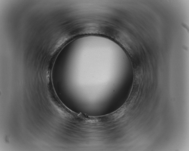 X0000099230160200804241500