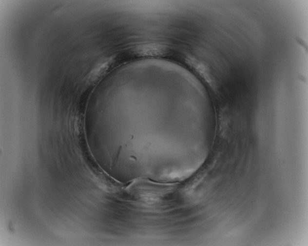 X0000099230161200804241500