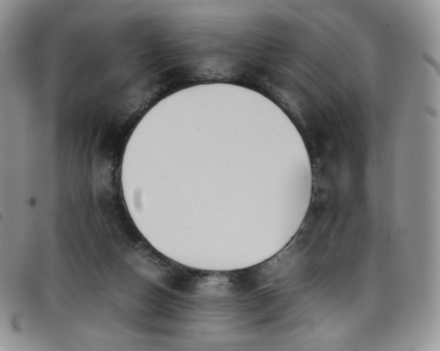 X0000099230162200804241500