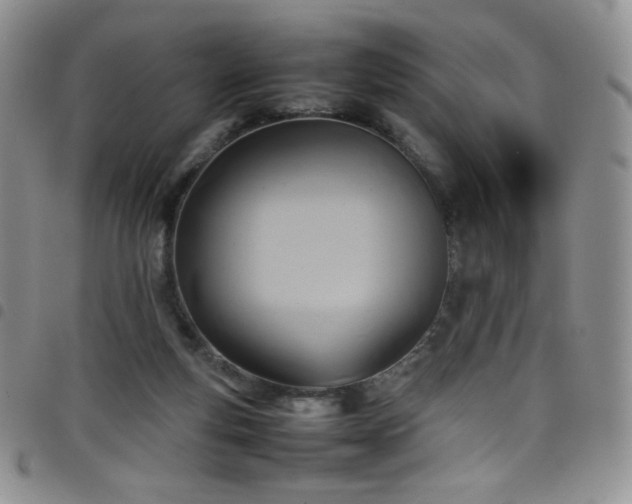 X0000099230163200804241500