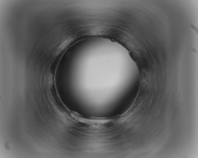 X0000099230164200804241500