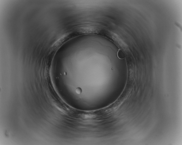 X0000099230165200804241500