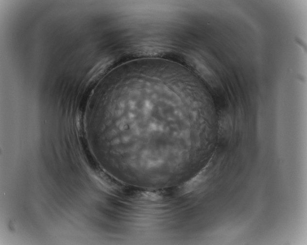 X0000099230166200804241500