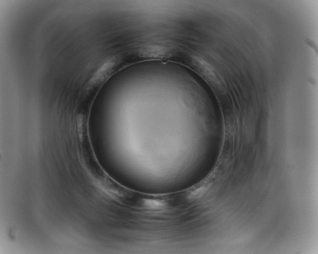 X0000099230167200804241500