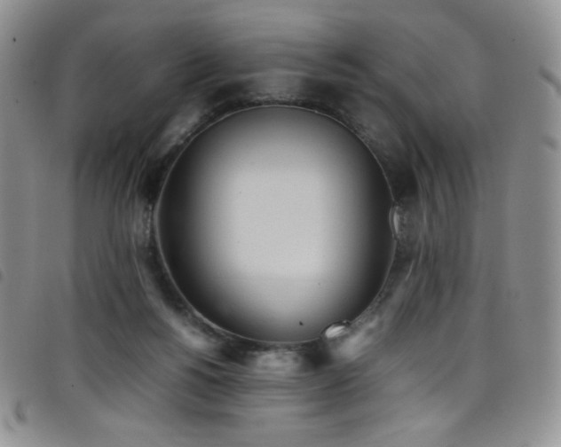 X0000099230168200804241500