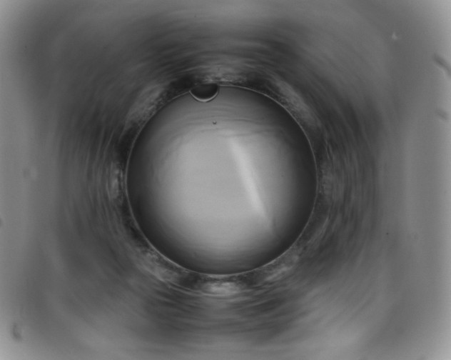 X0000099230169200804241500