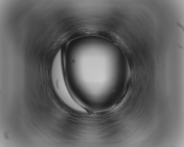 X0000099230170200804241500