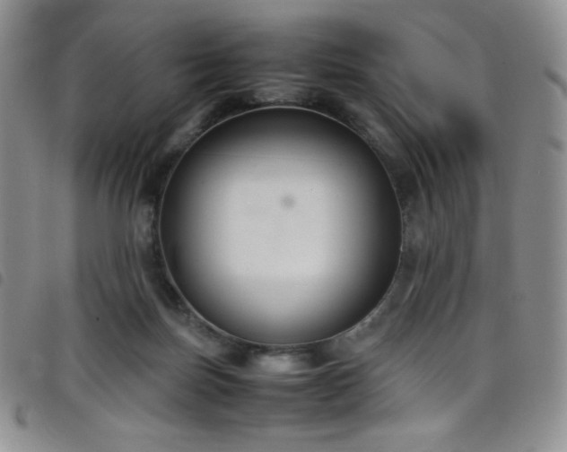 X0000099230171200804241500