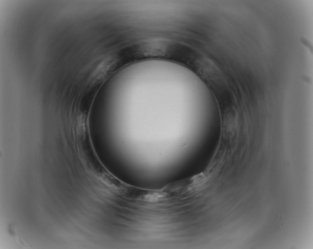 X0000099230172200804241500