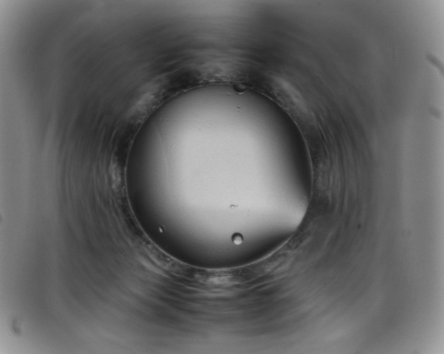 X0000099230173200804241500