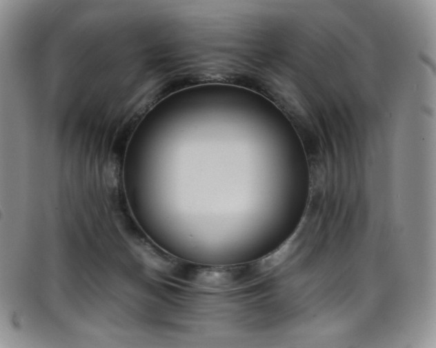 X0000099230174200804241500