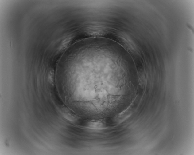 X0000099230175200804241500