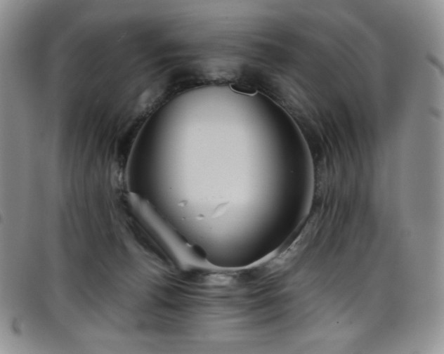 X0000099230176200804241500