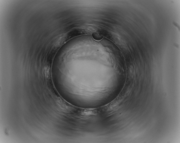 X0000099230177200804241500