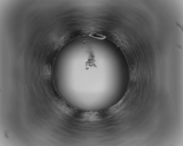 X0000099230179200804241500